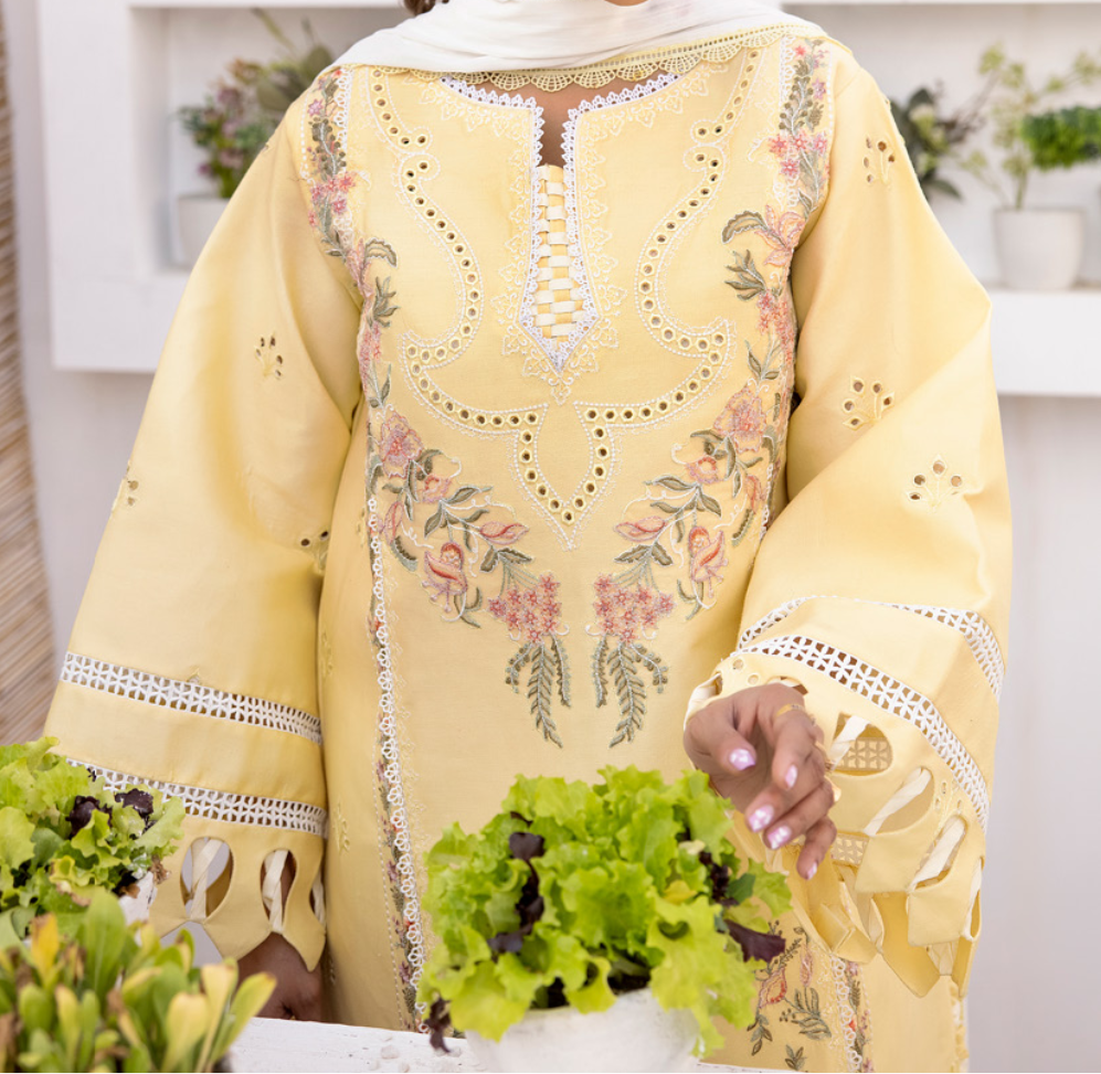 Unstitched 3 PC suit Dilkash Parishay DS-01