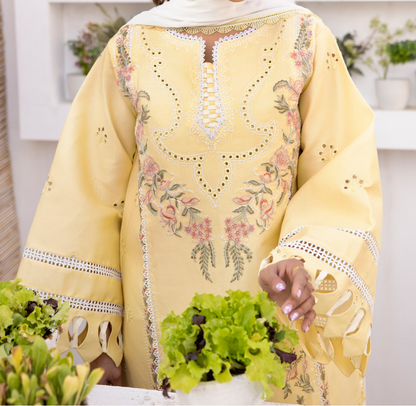 Unstitched 3 PC suit Dilkash Parishay DS-01