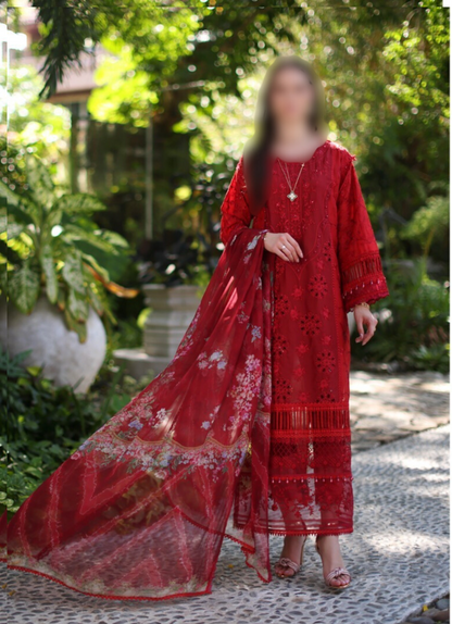 Noor By Saadia Asad Luxury Chikankari Lawn 2024 Collection - Elegant Lawn Suit with Intricate Chikankari Embroidery